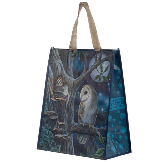 Lisa Parker Fairy Tales Owl and Fairy Reusable Shopping Bag